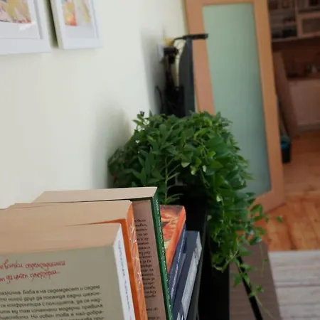 S Irma - Next To The Old Cathedral * Sofie